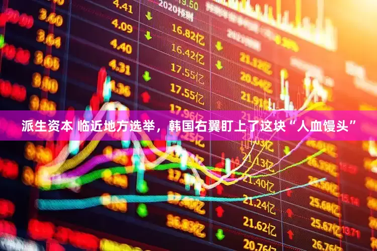 派生资本 临近地方选举，韩国右翼盯上了这块“人血馒头”